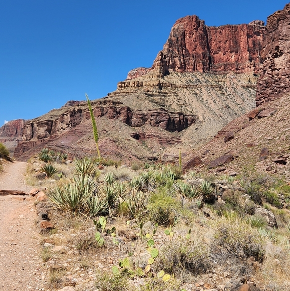 Meet your Posher, Christopher - Picture 1 of 6